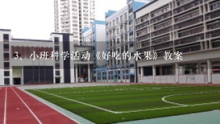 小班科学活动《好吃的水果》教案