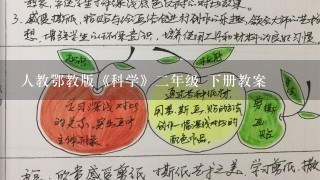 人教鄂教版《科学》二年级 下册教案