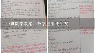 中班数学教案：数字宝宝找朋友