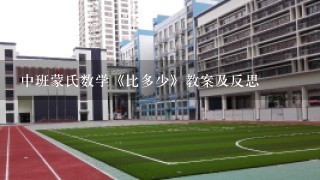 中班蒙氏数学《比多少》教案及反思