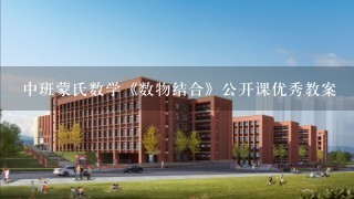 中班蒙氏数学《数物结合》公开课优秀教案