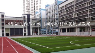 《甜甜的西瓜》幼儿园小班科学优质课教案