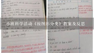 小班科学活动《按图形分类》教案及反思