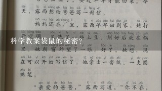 科学教案袋鼠的秘密？