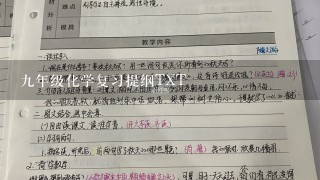 九年级化学复习提纲TXT