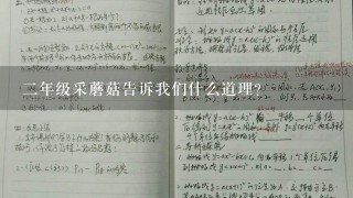 二年级采蘑菇告诉我们什么道理？