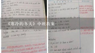 《寒冷的冬天》中班教案