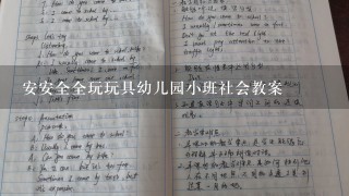 安安全全玩玩具幼儿园小班社会教案