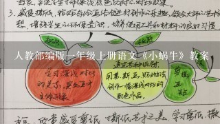 人教部编版一年级上册语文《小蜗牛》教案