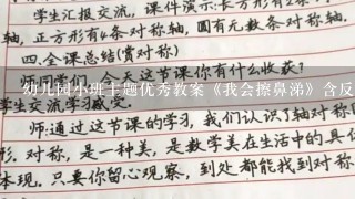 幼儿园小班主题优秀教案《我会擦鼻涕》含反思