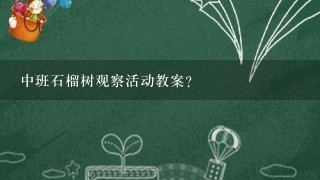 中班石榴树观察活动教案？