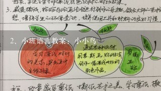 小班语言教案：小小鸟