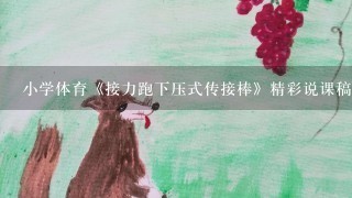 小学体育《接力跑下压式传接棒》精彩说课稿