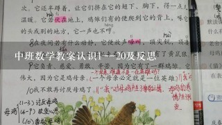 中班数学教案认识1--20及反思