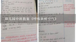 幼儿园中班教案《呼吸新鲜空气》