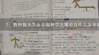 教科版小学五年级科学土壤中有什么公开课教案设计