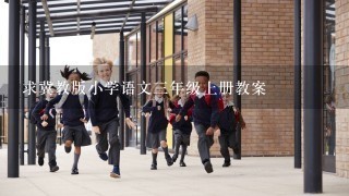 求冀教版小学语文三年级上册教案