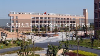 幼儿园大班科学《不会停止的呼吸》教案