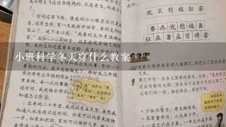 小班科学冬天穿什么教案