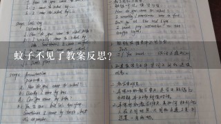 蚊子不见了教案反思？