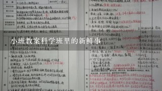 小班教案科学班里的新鲜事