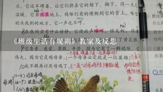 《班级生活有规则》教案及反思