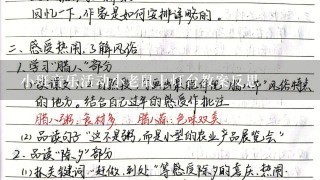 小班音乐活动小老鼠上灯台教案反思