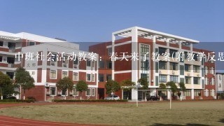 中班社会活动教案：春天来了教案(附教学反思)