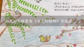 幼儿园中班教案《冬天的植物》含反思