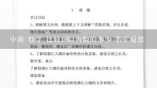 中班 数学 比较10以内数的多少 教学反思