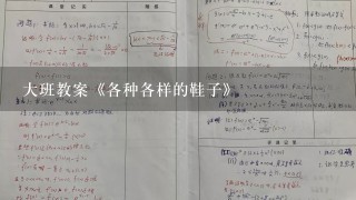 大班教案《各种各样的鞋子》