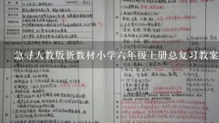 急寻人教版新教材小学六年级上册总复习教案！