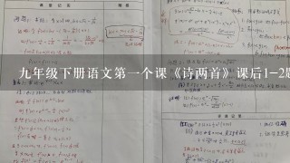 九年级下册语文第一个课《诗两首》课后1-2题答案