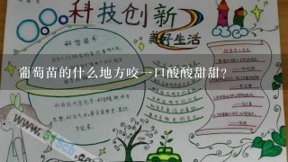 葡萄苗的什么地方咬一口酸酸甜甜？