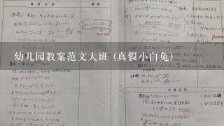 幼儿园教案范文大班 (真假小白兔)