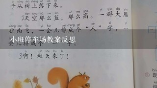 小班停车场教案反思