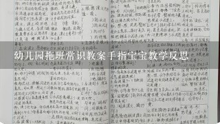 幼儿园拖班常识教案手指宝宝教学反思