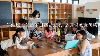 部编版二年级下册揠苗助长 公开课教案优质课教学设计