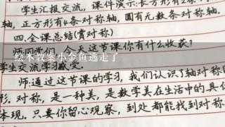 绘本教案小金鱼逃走了