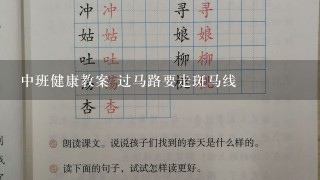 中班健康教案 过马路要走斑马线