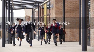 幼儿园大班科学教案《雨的秘密》