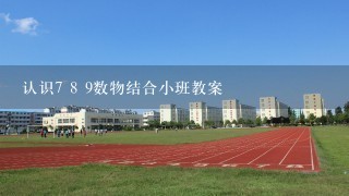 认识7 8 9数物结合小班教案