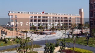 大班科学《有趣的磁铁》教案