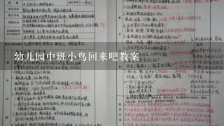 幼儿园中班小鸟回来吧教案