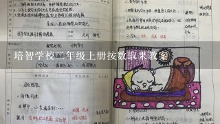 培智学校二年级上册按数取果教案