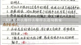 大班像什么像什么像什么造句教案