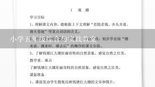 小学五年级综合与实践教案