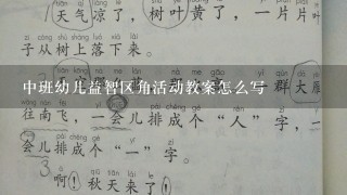 中班幼儿益智区角活动教案怎么写