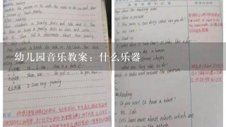 幼儿园音乐教案：什么乐器