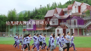 幼儿园大班区角活动方案